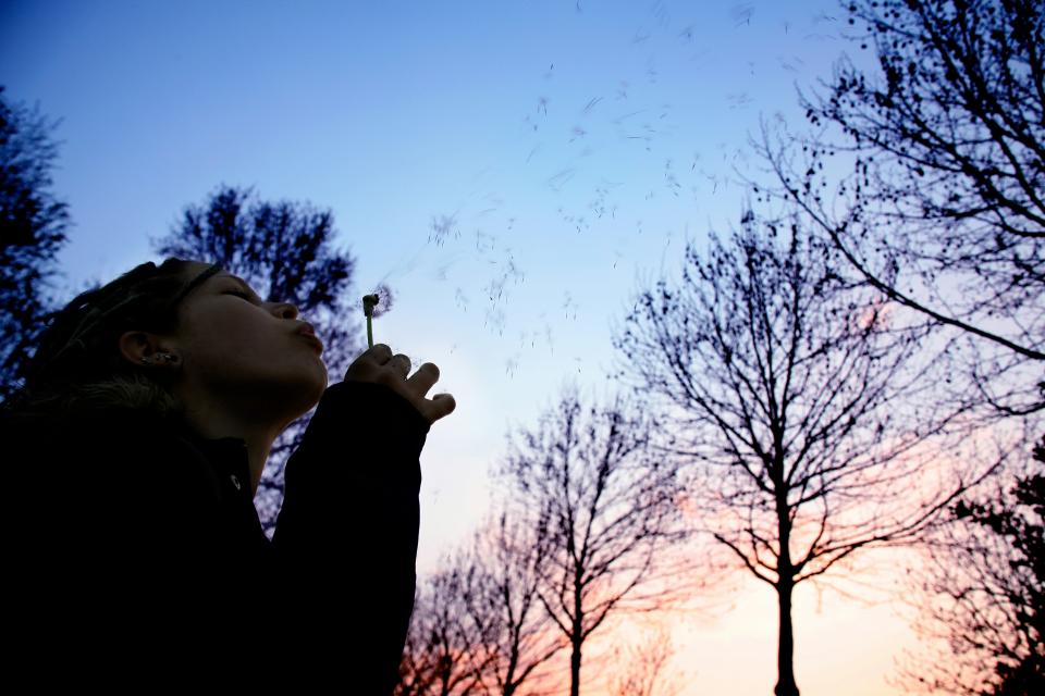A person silhouetted against a dusky spring sky blowing a dandelion, seeds drifting on the breeze, evoking airborne pollen and seasonal hay fever