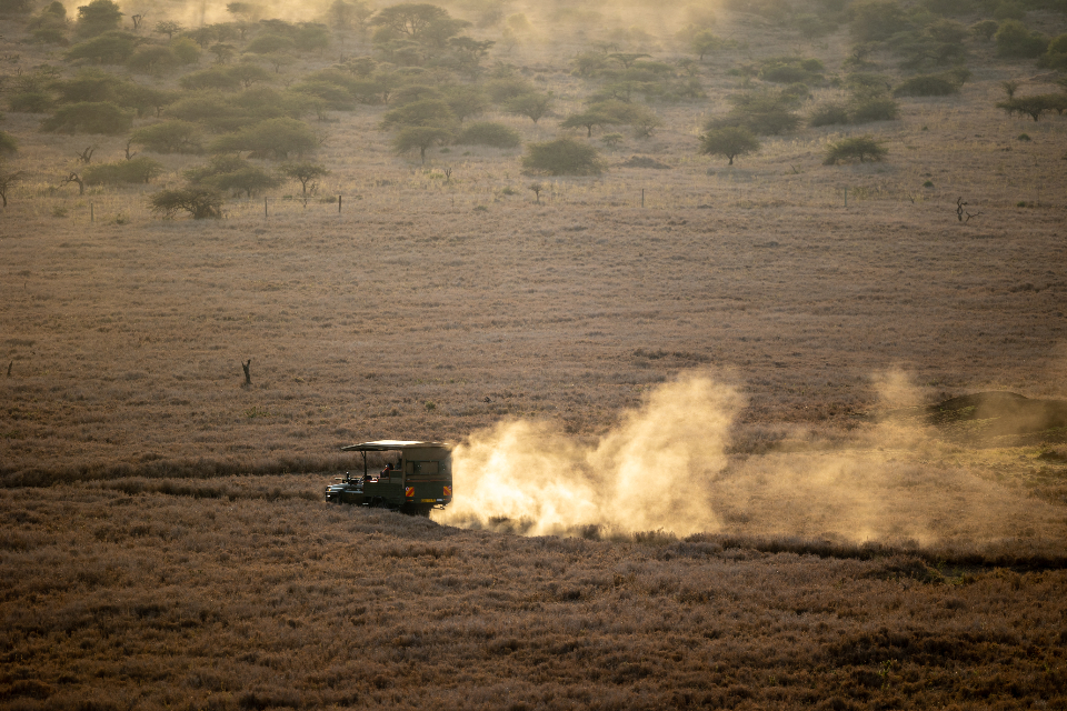 A safari vehicle drives across golden African savanna at sunrise, kicking up dust among scattered acacia trees, evoking adventure travel to a tropical destination.